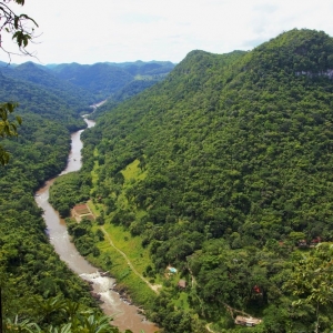 belize-jungle-lodge-09