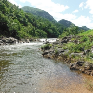 belize-jungle-lodge-23