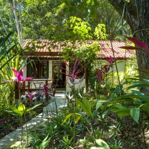 belize-jungle-lodge-25