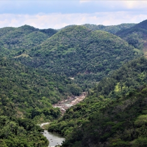 belize-jungle-lodge-34