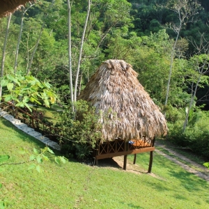 belize-jungle-lodge-35