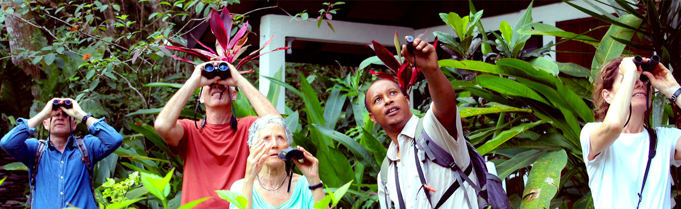 Belize birding