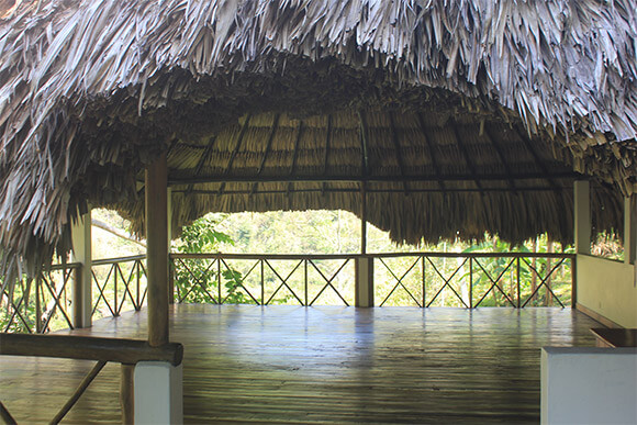 YOGA PALAPA