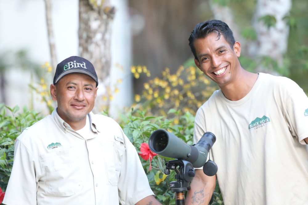 Belize birding