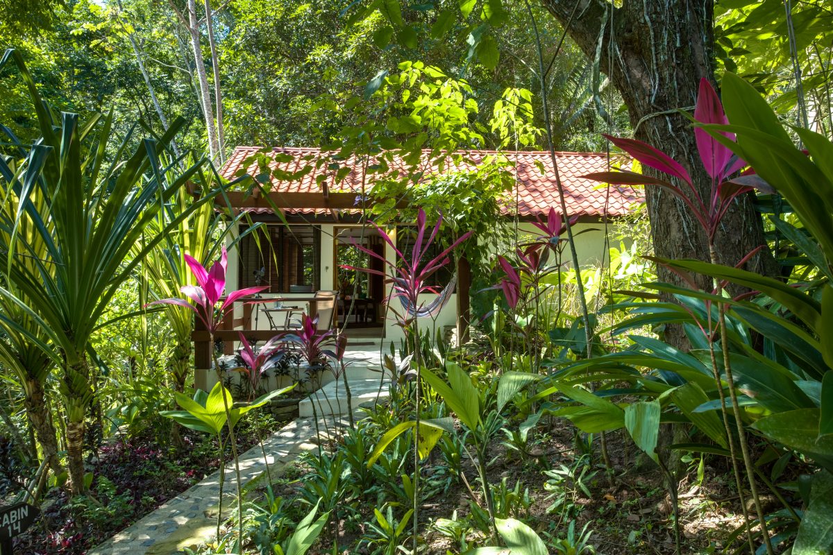 Belize Jungle Accommodations