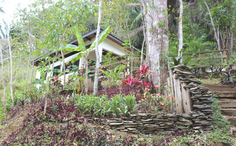 Jungle Cabins at Black Rock Lodge